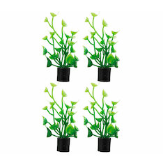 Hobby Cardamine mini 4x