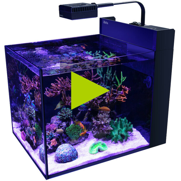 Red Sea MAX NANO Peninsula G2 Aquarium