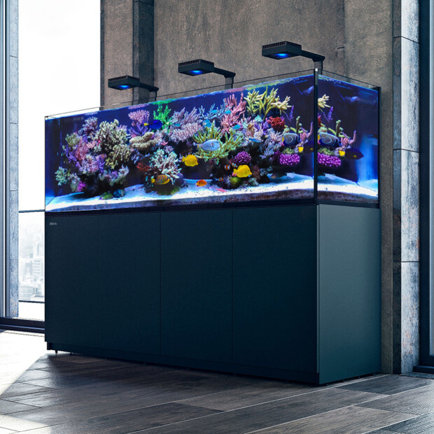 Red Sea REEFER MAX S G2+