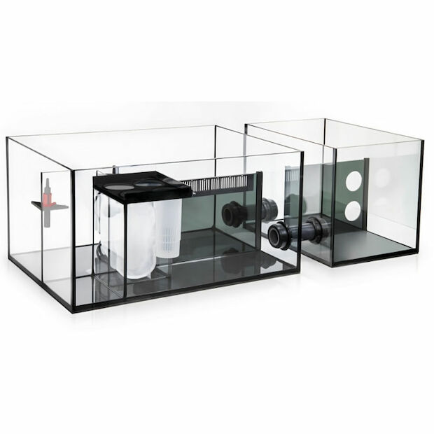 Red Sea REEFER MAX S G2+