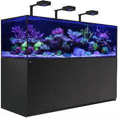 Red Sea REEFER MAX S G2+