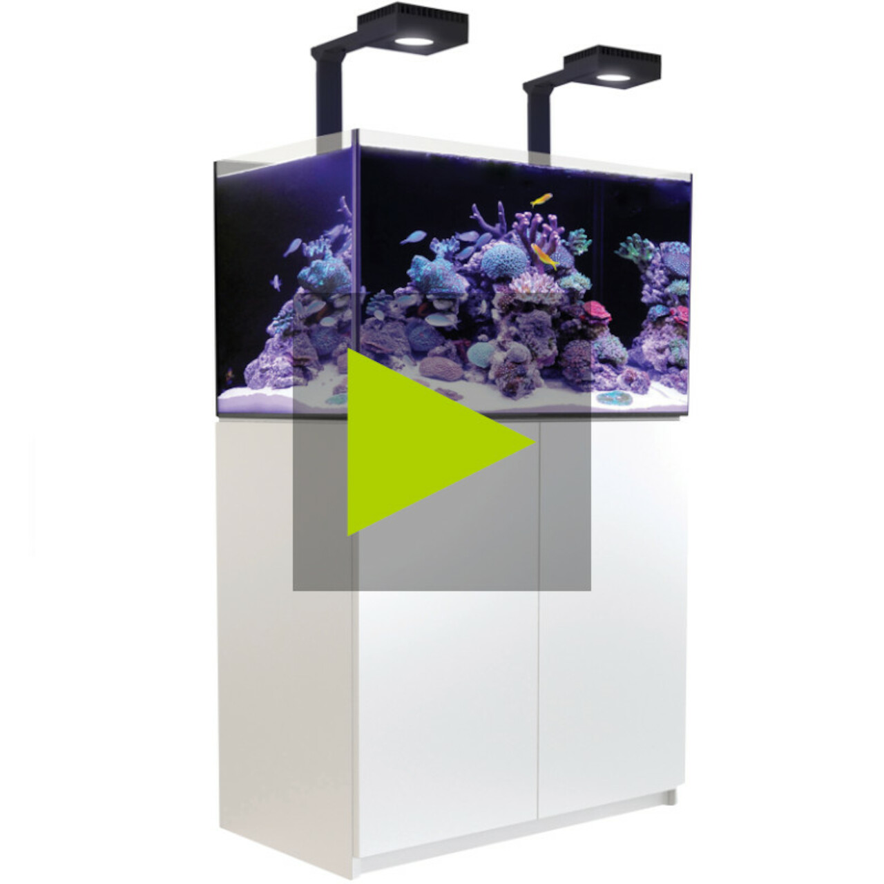 Red Sea REEFER MAX G2+