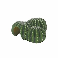Hobby Cactus Home
