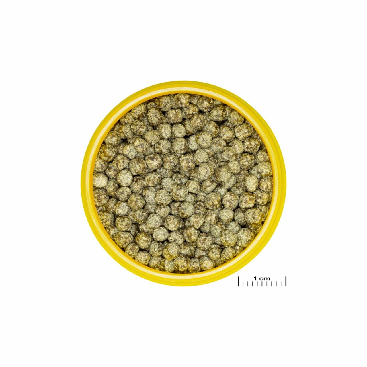 JBL ProNovo Red Grano M CLICK