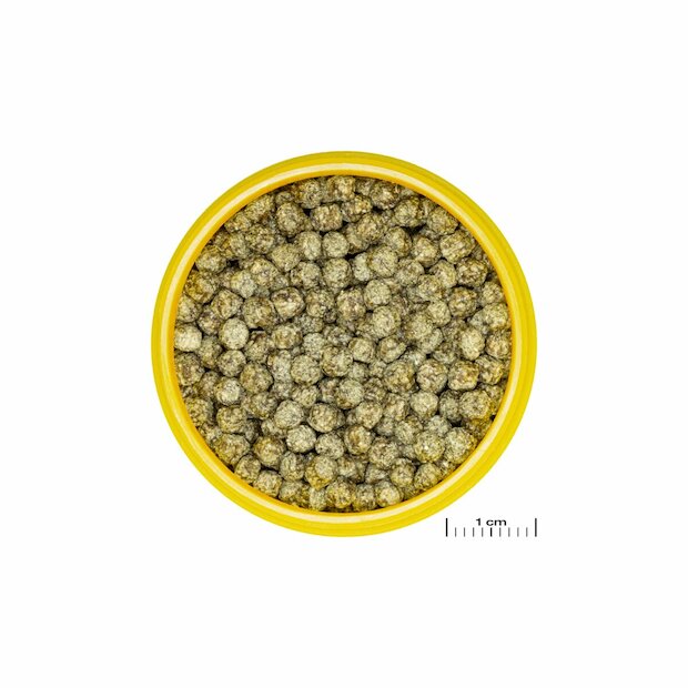 JBL ProNovo Red Grano M CLICK