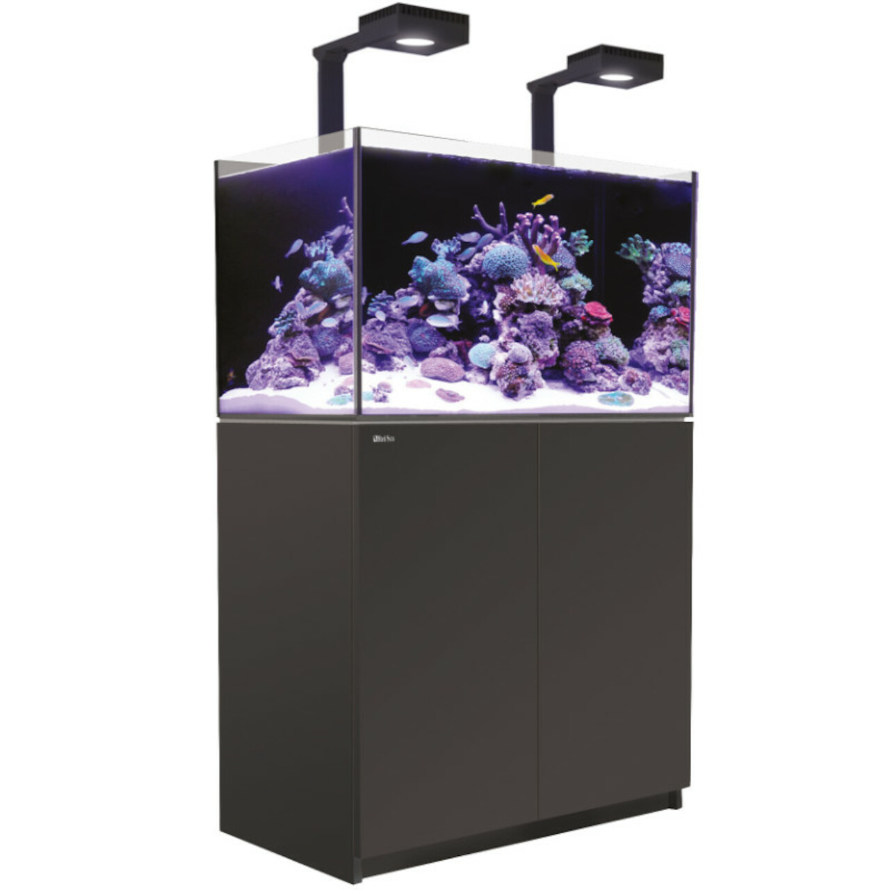 Red Sea REEFER MAX G2+