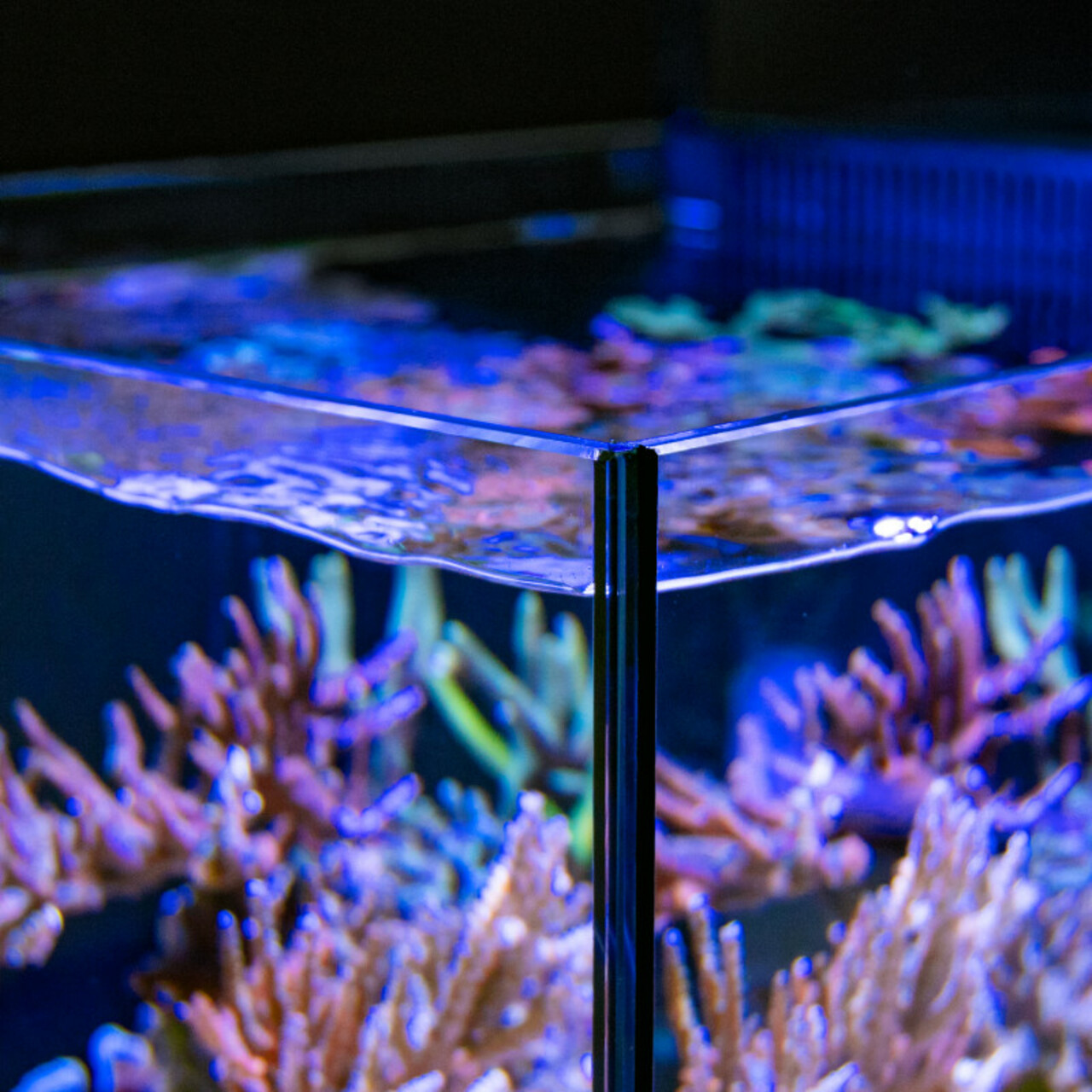 Red Sea MAX NANO Cube G2