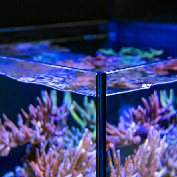 Red Sea MAX NANO Cube G2