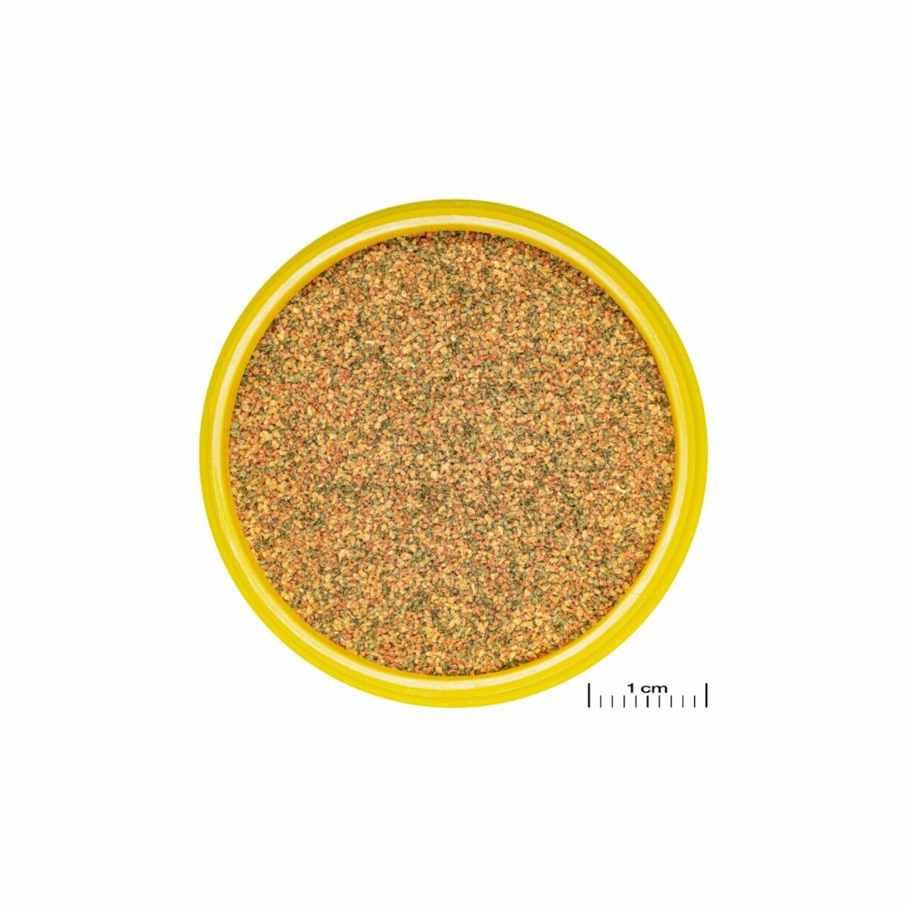 JBL ProNovo Bel Grano CLICK