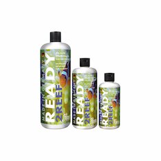 Fauna Marin Ready2Reef
