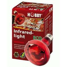 Hobby Infraredlight Eco 42 W