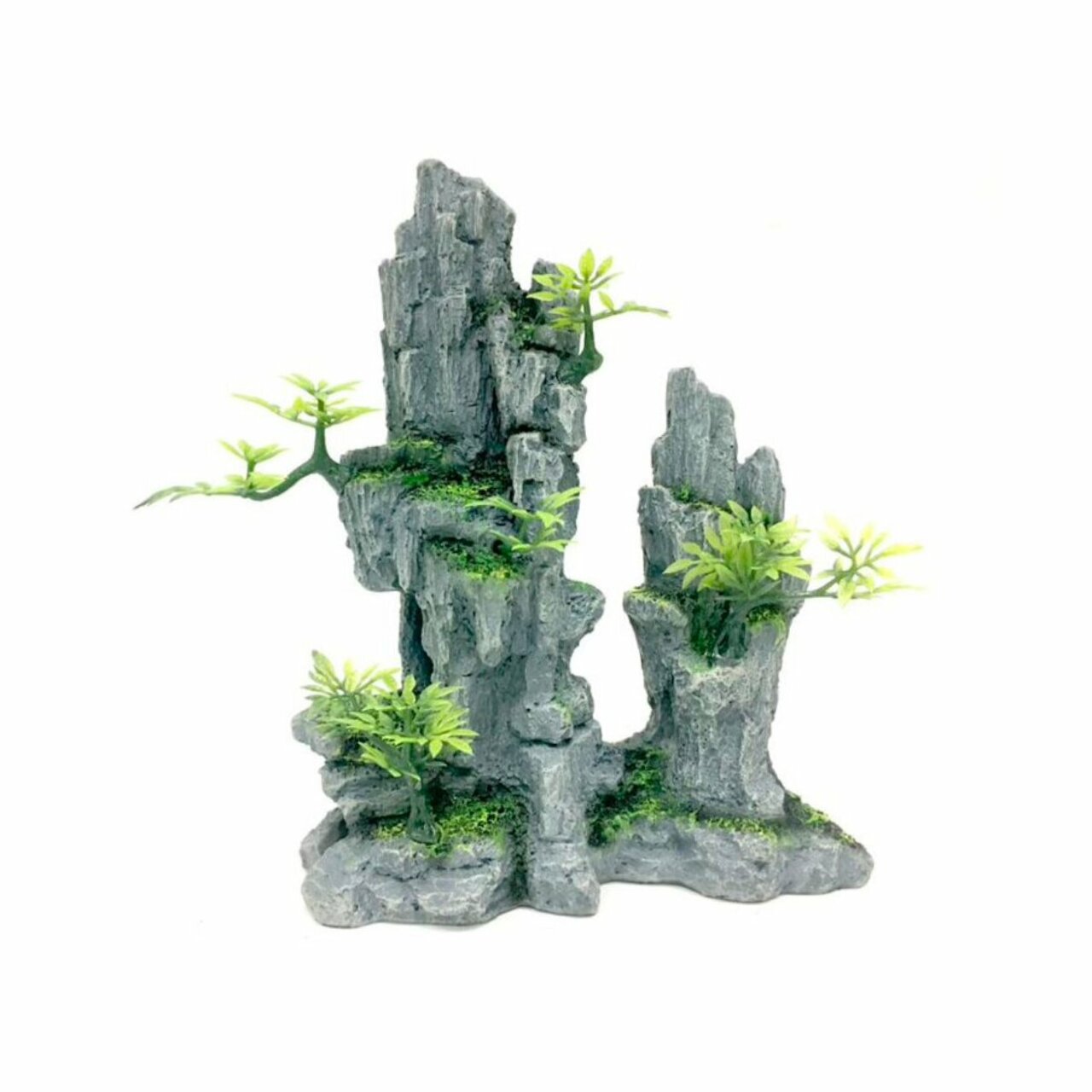 Aqua Della High Rock 2