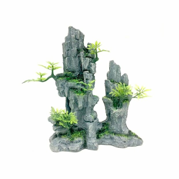 Aqua Della High Rock 2