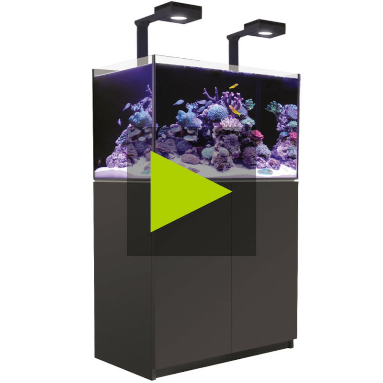 Red Sea REEFER MAX G2+