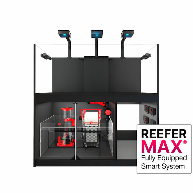Red Sea REEFER MAX G2+