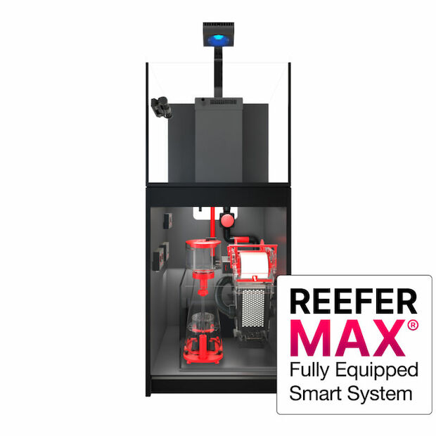 Red Sea REEFER MAX G2+