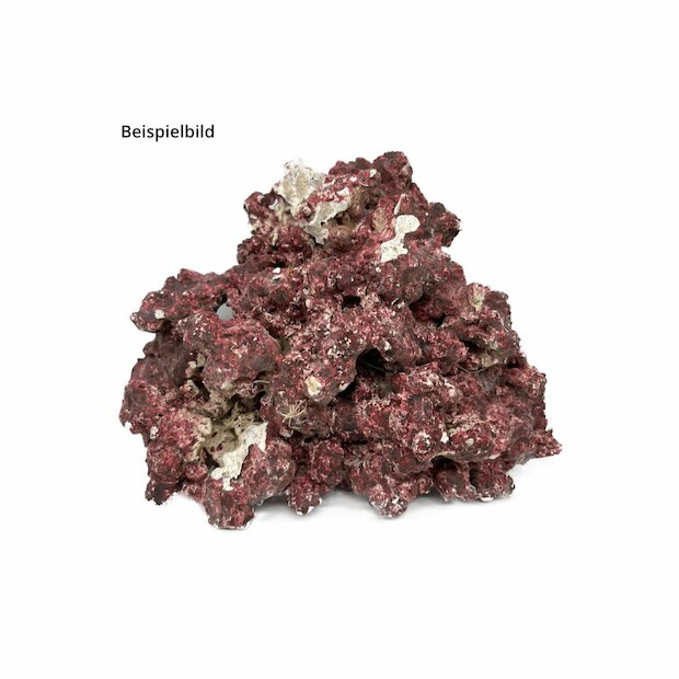 RealReef Rock 1 kg