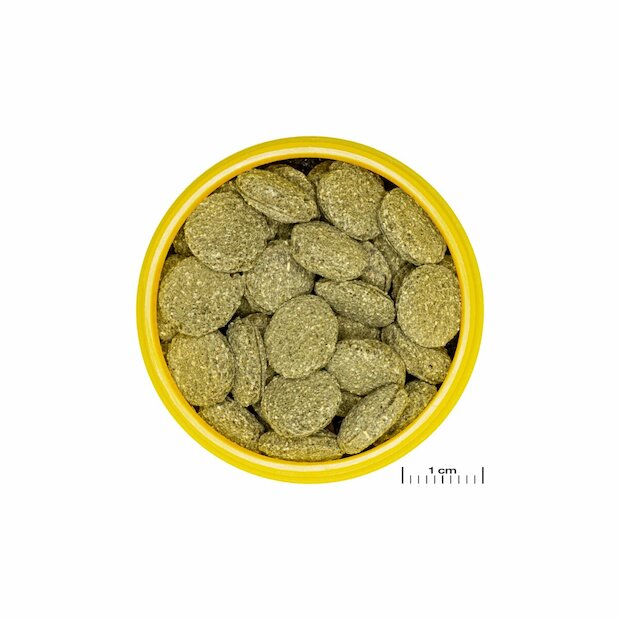 JBL ProNovo Pleco Wafer M 250ml