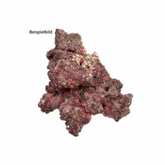 RealReef Rock 1 kg
