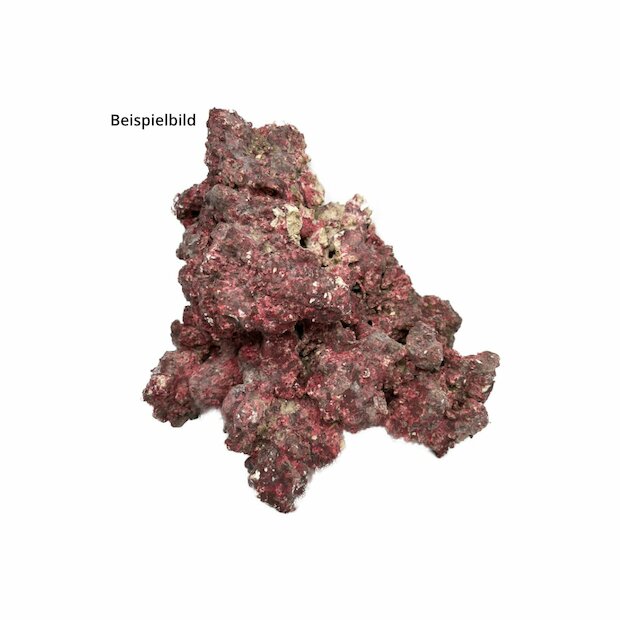 RealReef Rock 1 kg