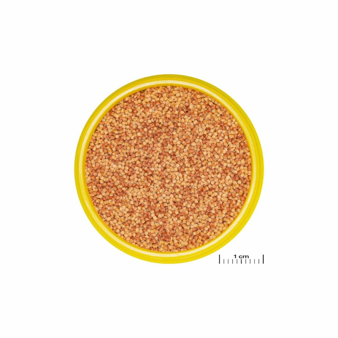 JBL ProNovo Color Grano S 100ml CLICK