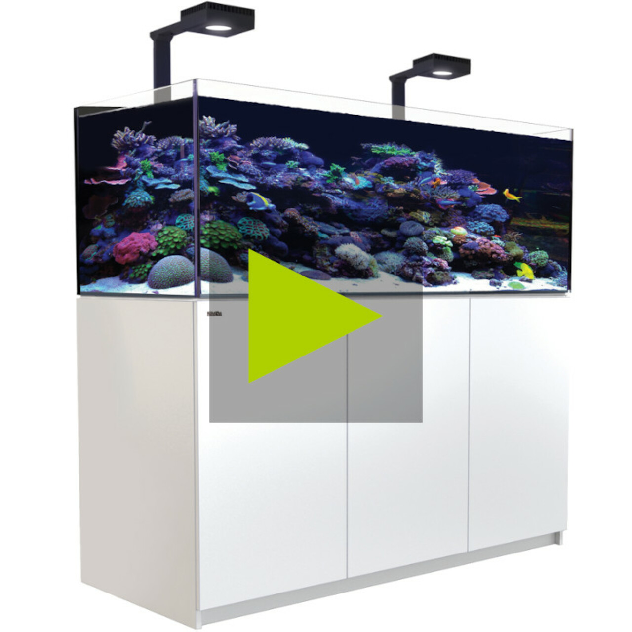 Red Sea REEFER MAX G2+