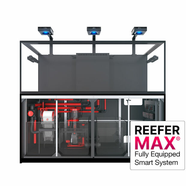 Red Sea REEFER MAX S G2+