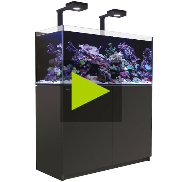 Red Sea REEFER MAX G2+