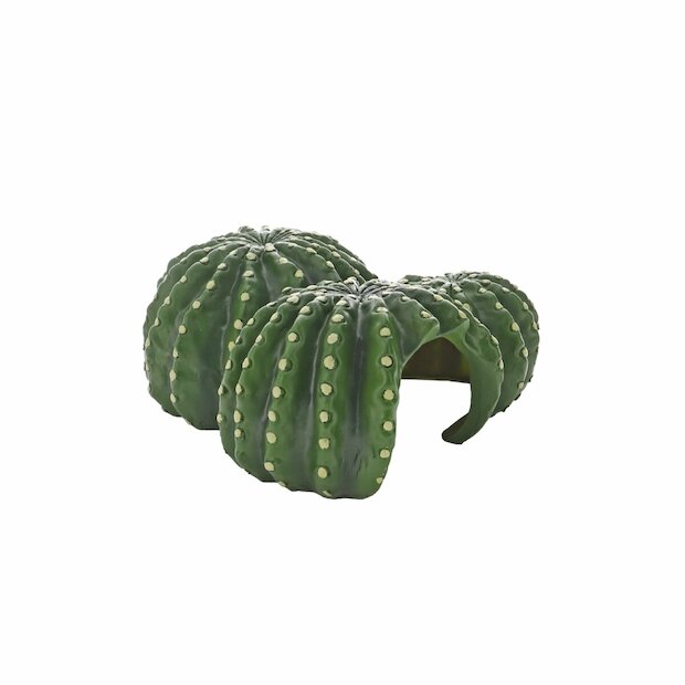 Hobby Cactus Home