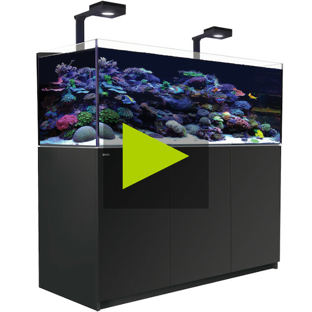 Red Sea REEFER MAX G2+