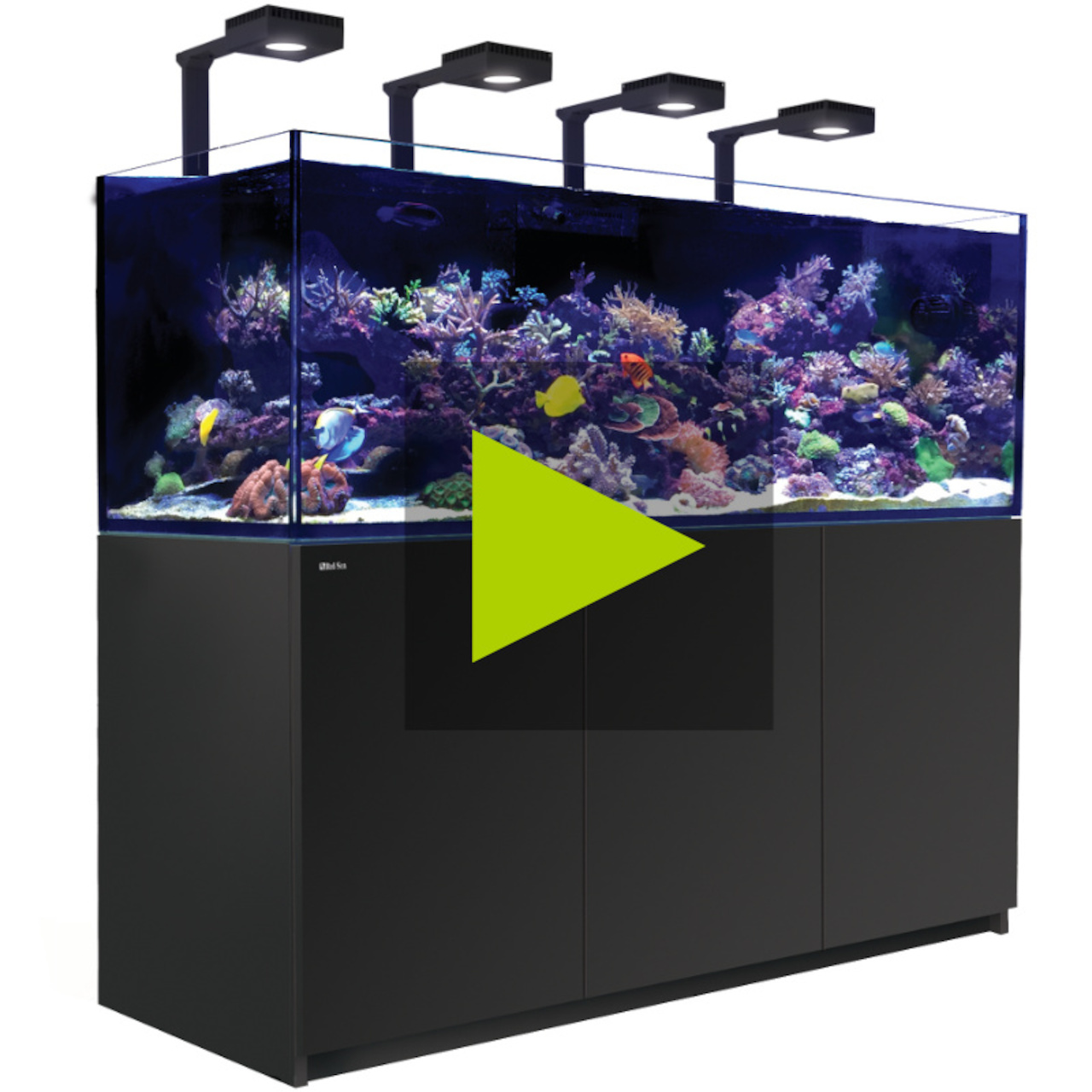 Red Sea REEFER MAX G2+