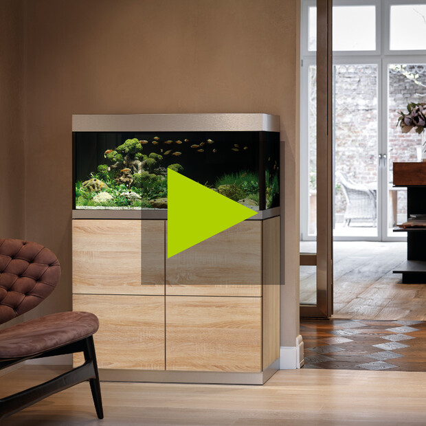 Oase HighLine
