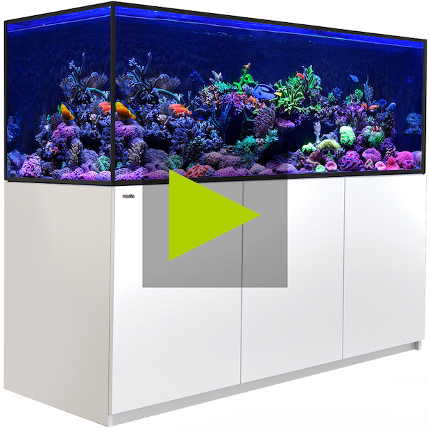 Red Sea REEFER MAX S G2+