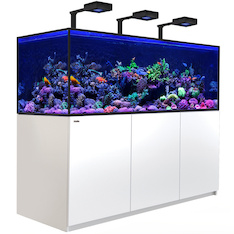 Red Sea REEFER MAX S G2+