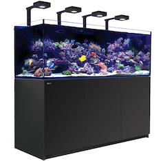 Red Sea REEFER MAX G2+