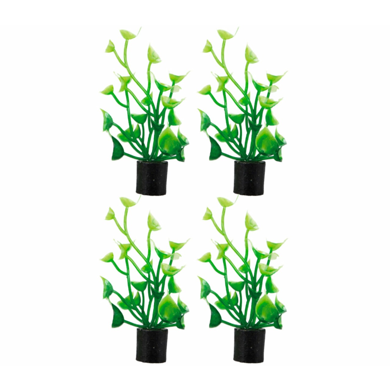 Hobby Cardamine mini 4x