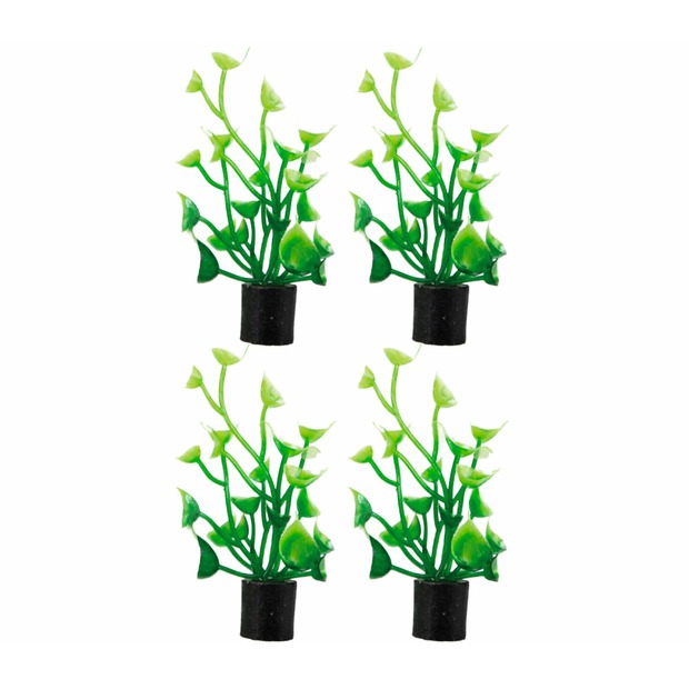 Hobby Cardamine mini 4x