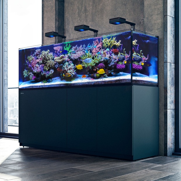 Red Sea REEFER MAX S G3