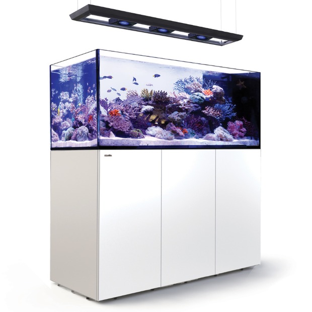 Red Sea REEFER MAX Peninsula S-700 G3