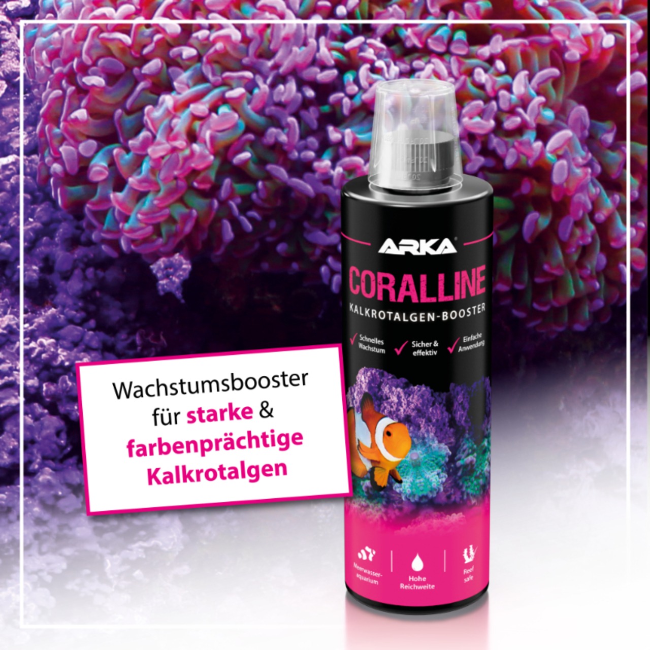 Arka Coralline Kalkrotalgen + 473ml