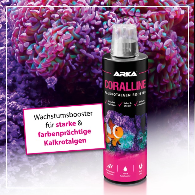Arka Coralline Kalkrotalgen + 473ml