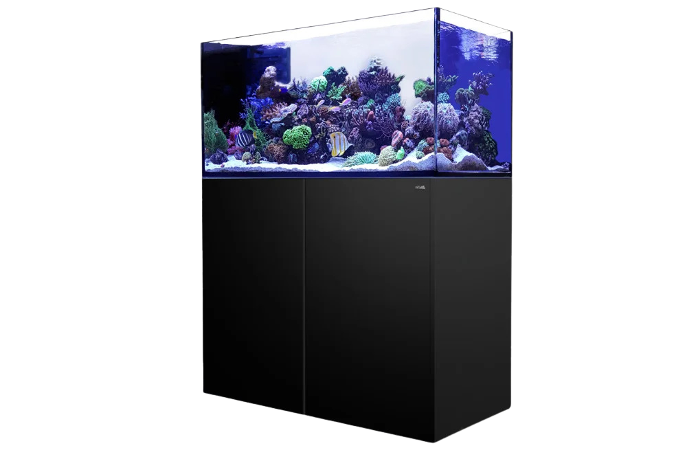 Die Reefer Peninsula Aquarien als Komplettsysteme mit Raumteiler-Funktion.