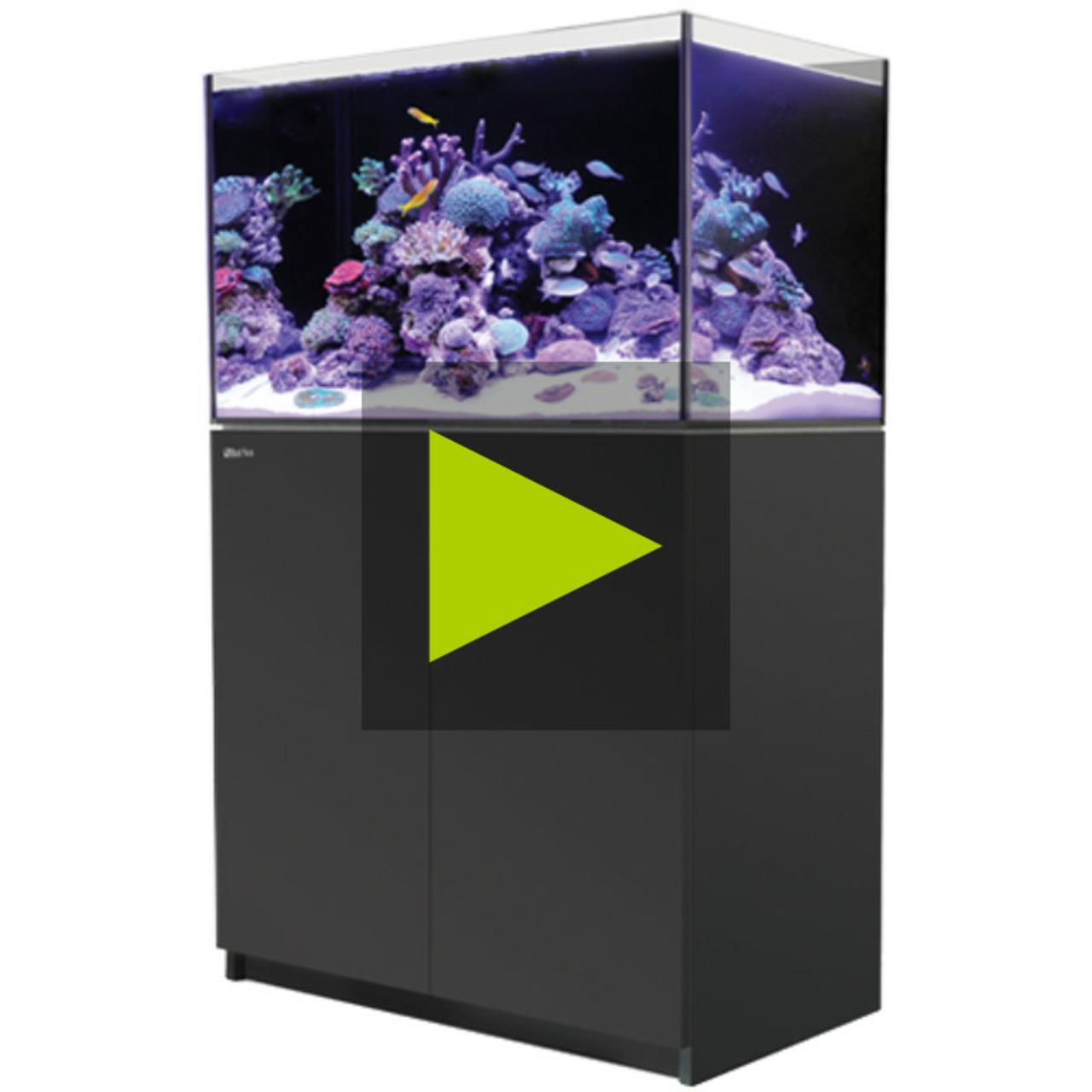 Red Sea Reefer 300 G3 schwarz