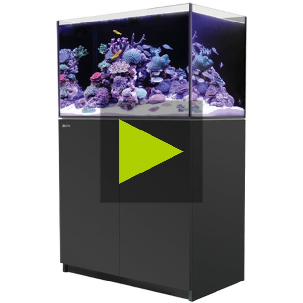 Red Sea Reefer 300 G3 schwarz