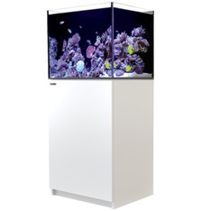 Red Sea Reefer 200 G3+ weiss
