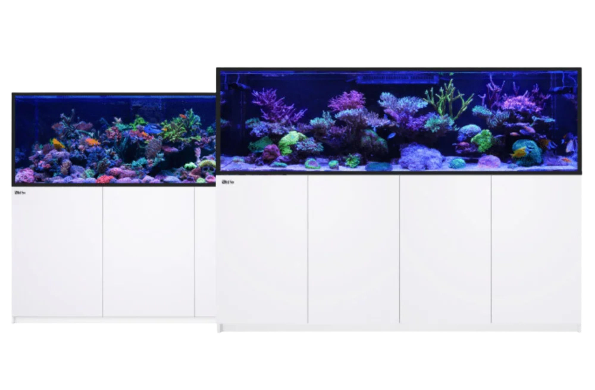 red-sea-reefer-s-varianten