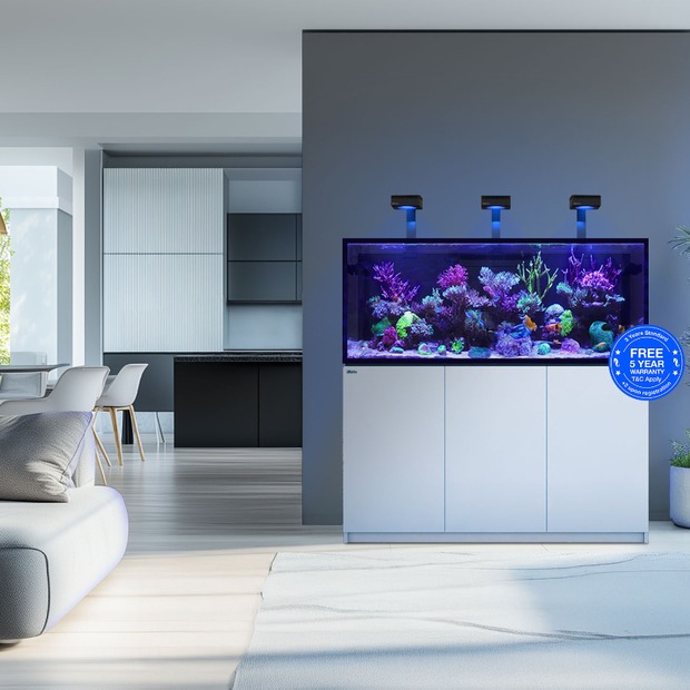 Red Sea Reefer 625 G3 schwarz