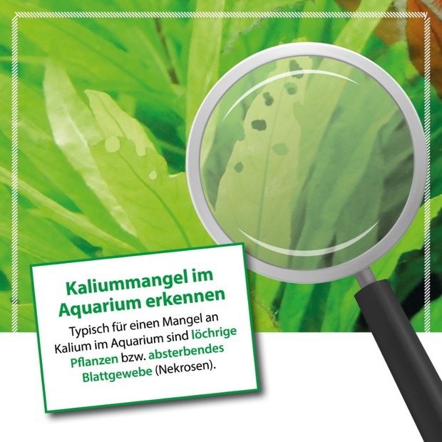 Microbe Lift Plants NPK