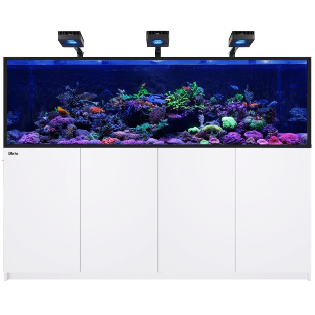 Red Sea REEFER MAX S G3