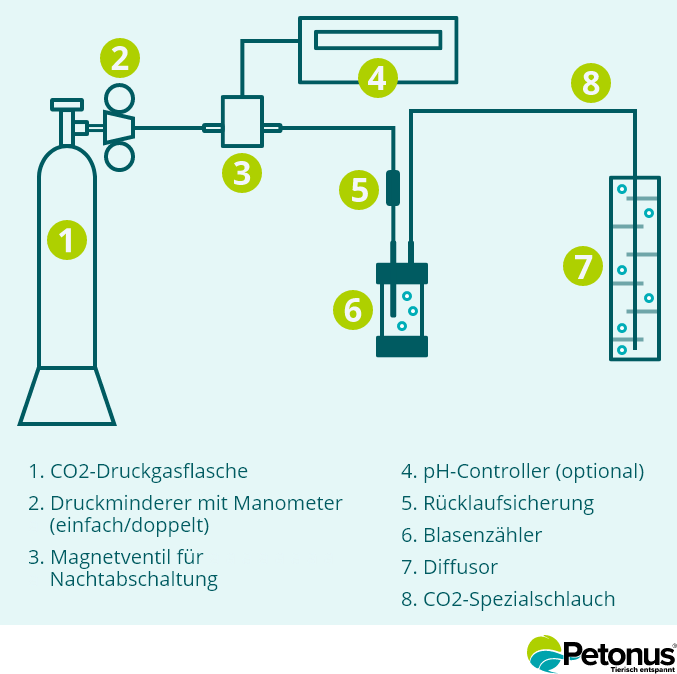 Aufbau einer CO2-Anlage mit Druckgasflasche